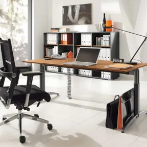 Palmberg Palmega bureau hoogte instelbaar