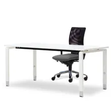 Palmberg Pensum u-poot bureau