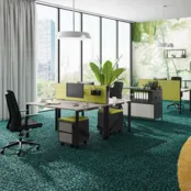 Palmberg Terio Plus Opzetwand basic