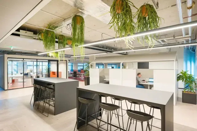 Vepa BUUR Felt High kruk