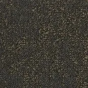 Desso Tarkett Airmaster Salina Gold