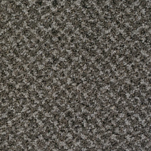 Desso Tarkett Protect