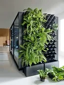 Mikomax Green wall
