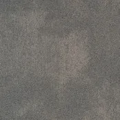 Desso Tarkett Serene