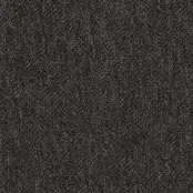 Desso Tarkett Essence