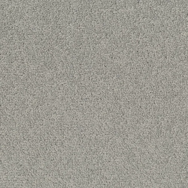 Desso Tarkett Palatino