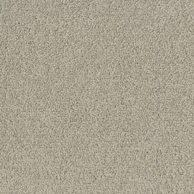 Desso Tarkett Palatino