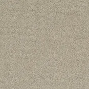 Desso Tarkett Palatino