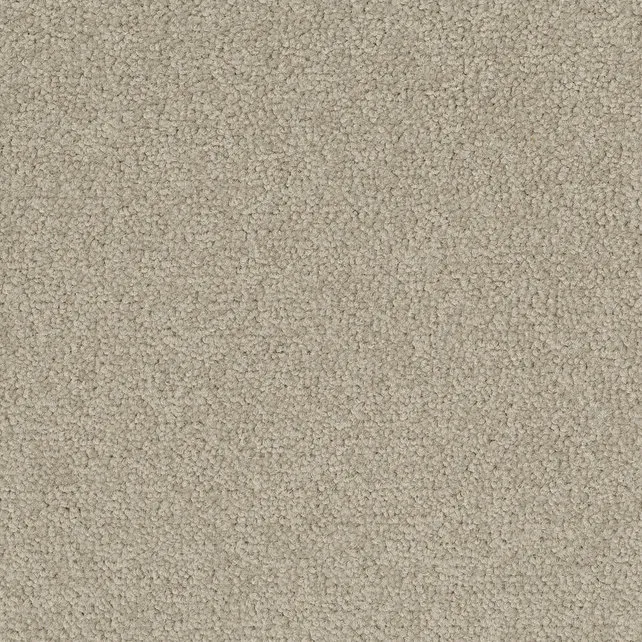 Desso Tarkett Palatino