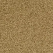 Desso Tarkett Palatino