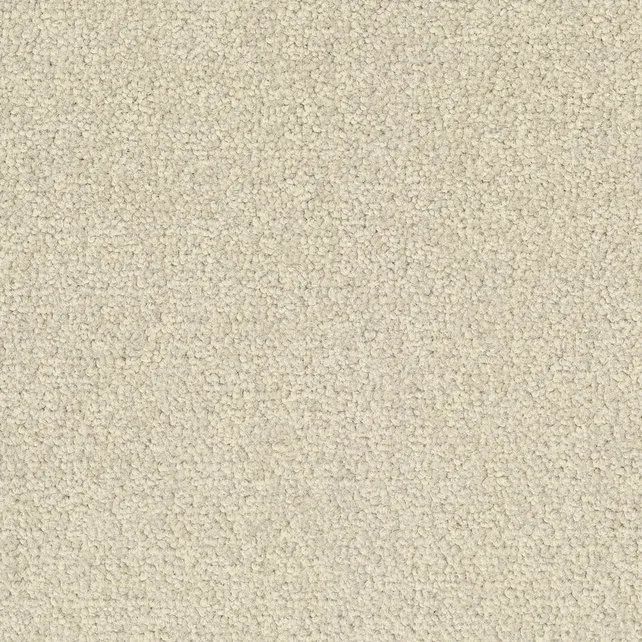 Desso Tarkett Palatino