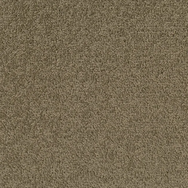 Desso Tarkett Palatino