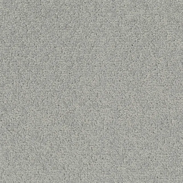 Desso Tarkett Palatino