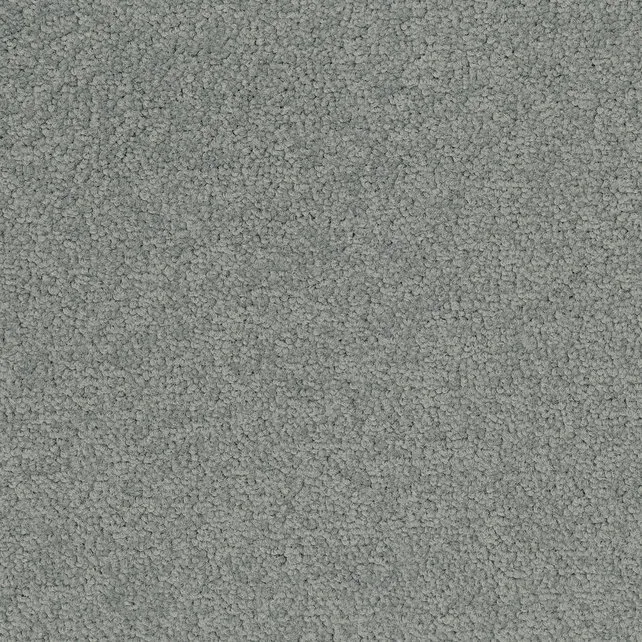 Desso Tarkett Palatino