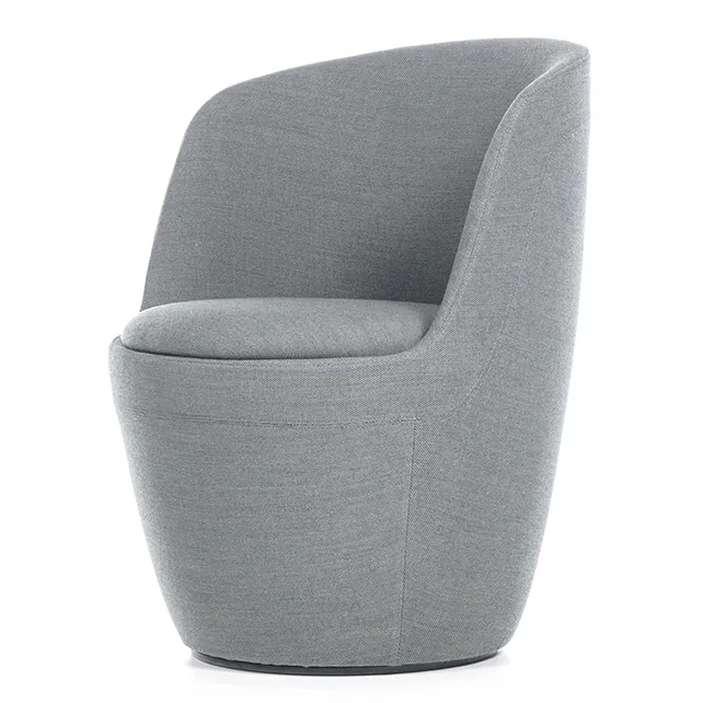 Shelly mini Shelly mini