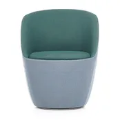 Shelly mini Shelly mini