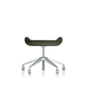 Silver  conferentiehocker