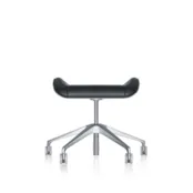 Silver  conferentiehocker