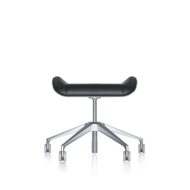 Silver  conferentiehocker