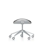 Silver  conferentiehocker