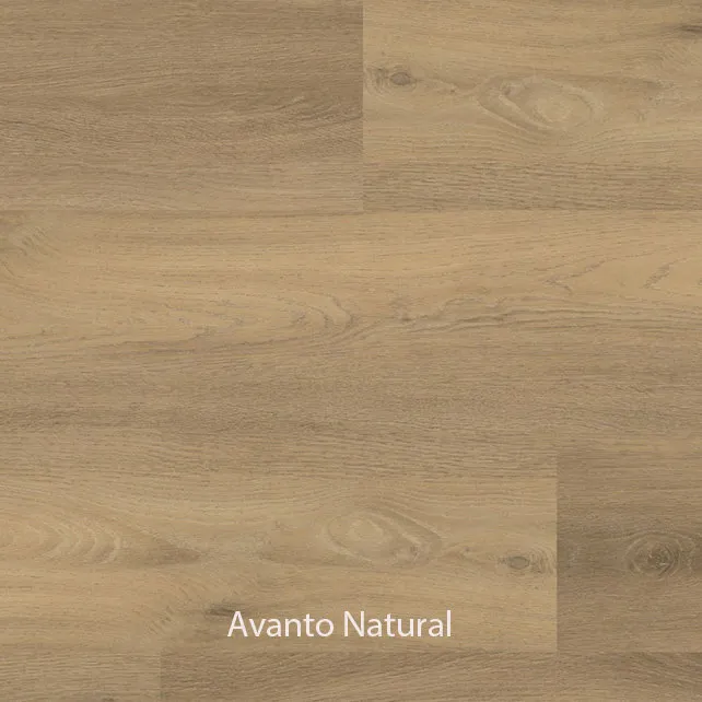 Ambiant Avanto Dryback