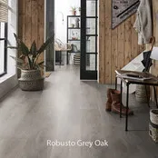 Ambiant Robusto Dryback