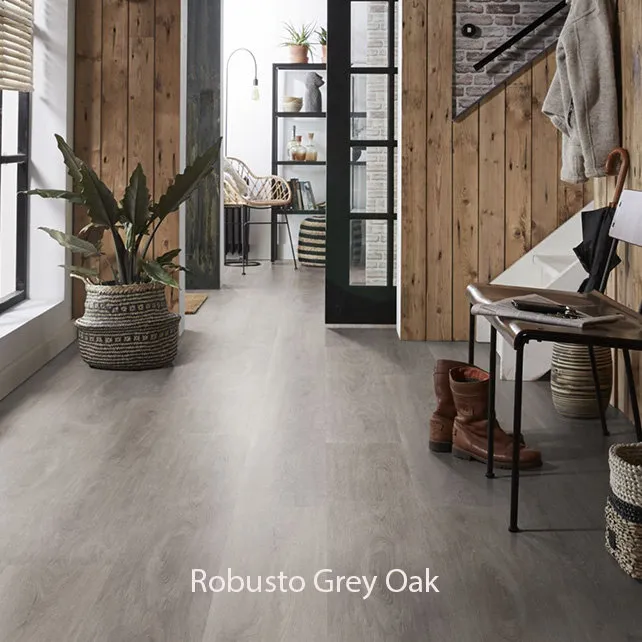 Ambiant Robusto Dryback