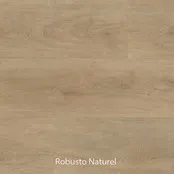 Ambiant Robusto Dryback