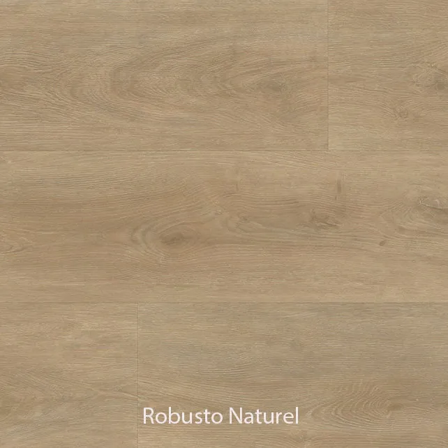 Ambiant Robusto Dryback