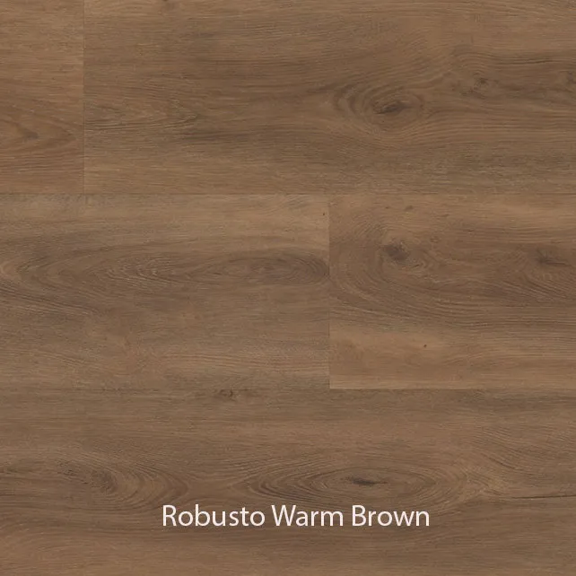 Ambiant Robusto Dryback