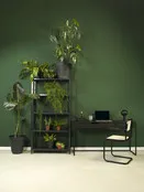 Designstoel Elia met armleuningen