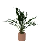 BuzziPlanter BuzziPlanter