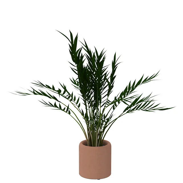 BuzziPlanter BuzziPlanter