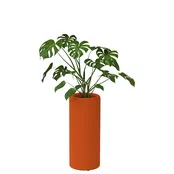 BuzziPlanter BuzziPlanter