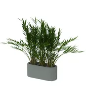 BuzziPlanter BuzziPlanter