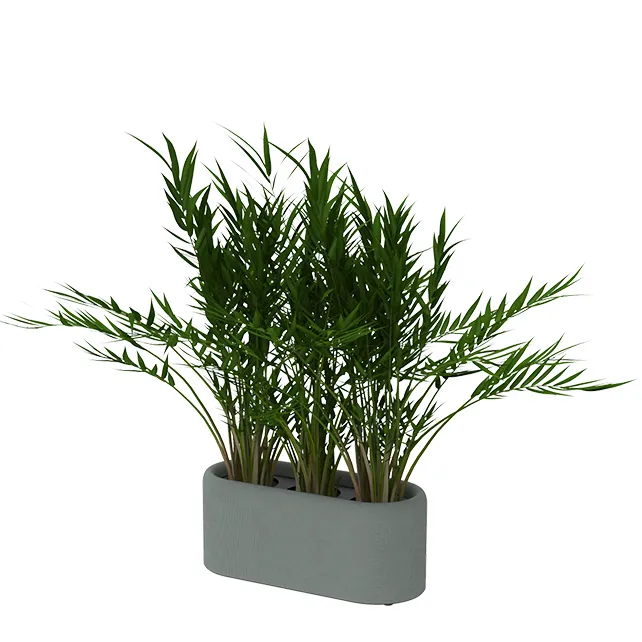 BuzziPlanter BuzziPlanter