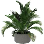 BuzziPlanter BuzziPlanter