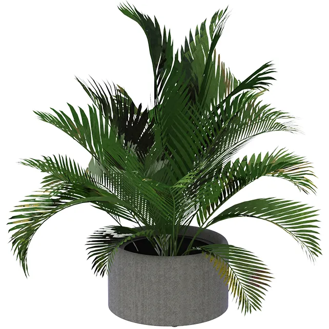 BuzziPlanter BuzziPlanter