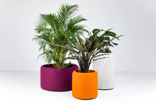 BuzziPlanter BuzziPlanter