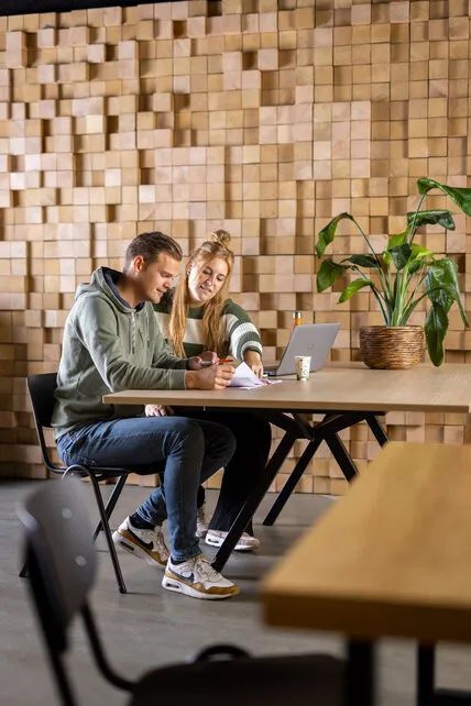 Vepa stoel 400 (voorraadmodel)