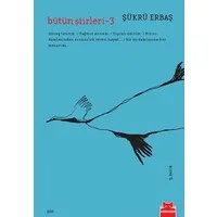 Bütün Şiirleri - 3