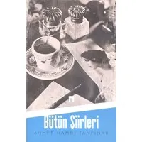 Bütün Şiirleri / Ahmet Hamdi Tanpınar