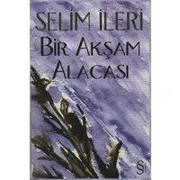 Bir Akşam Alacası