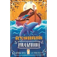 Peygamberlerin Mucizeleri