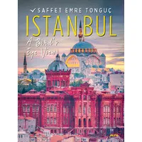 Istanbul A Bird's Eye Viev