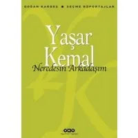 Neredesin Arkadaşım