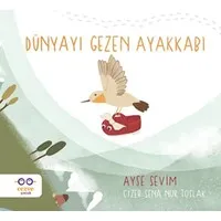 Dünyayı Gezen Ayakkabı