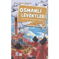 Hint Sularında