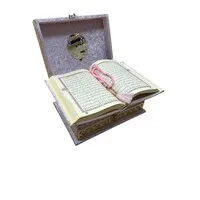 Ayasofya Fluwelen Geschenkset Roze – Gebedskleed, Koran & Tasbih