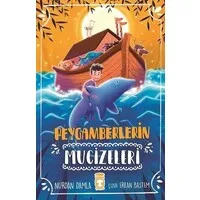 Peygamberlerin Mucizeleri